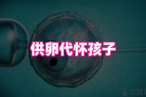 123试管孕网 4